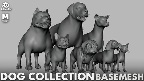 Mega Dog Collection ( Pitbull, Labrador, StreetDog, French BullDog, Pug, Dachshund, Chihuahua) - Topology + UV map