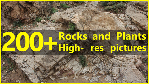 200+ High-resolution photos of Rocks and Plants - Vol. 01