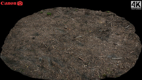 ground forrest burned field photogrammetry