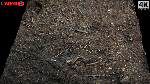 burned forest ground photogrammetry