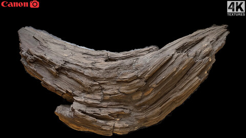 wood log old broken tree side part photogrammetry