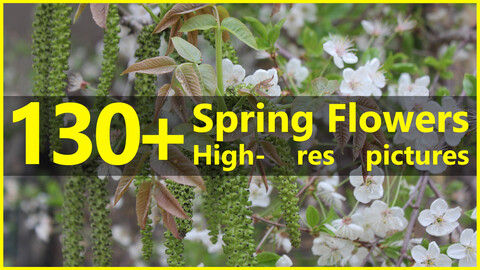 130+ High-resolution photos of Spring Flowers - Vol. 01