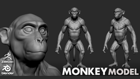 Monkey  - Topology + UV map