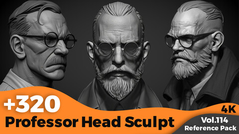 +320 Professor Head Sculpt Concept(4k)