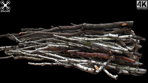 wood branches forrest side part2 photogrammetry