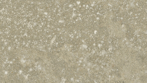 Concrete Seamless Texture 2k (2048*2048) | EXR 5 | JPG 5 File Formats All Texture Apply After Object Look Like A 3D. (1K preview image)