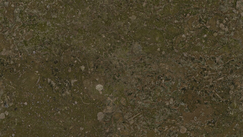 Concrete Seamless Texture 2k (2048*2048) | EXR 5 | JPG 5 File Formats All Texture Apply After Object Look Like A 3D. (1K preview image)