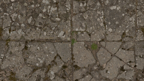 Historical Seamless Texture 2k (2048*2048) | EXR 5 | JPG 5 File Formats All Texture Apply After Object Look Like A 3D. (1K preview image)