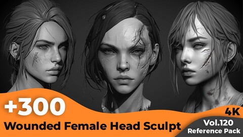 +300 Wounded Female Head Sculpt References(4k)