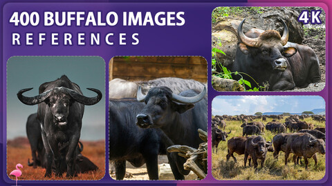 400 Buffalo Image Reference Pack – Vol 1