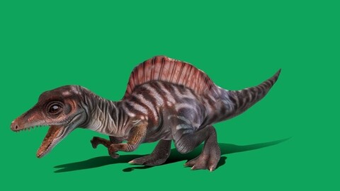 Baby Spinosaurus Dinosaur