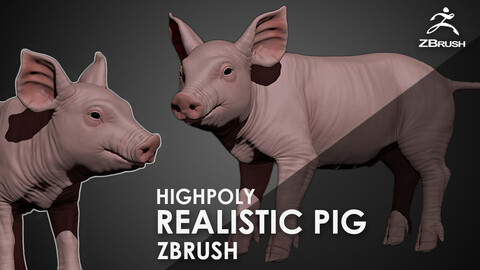 Highpoly Realistic Pig Sculpted in Zbrush 2019