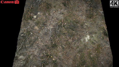 forrest ground cutted trees branches photogrammetry