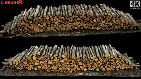 woodlogs cutted trees forrest pt2 photogrammetry