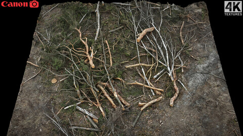 forrest ground broken tree branches photogrammetry