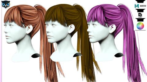 Female Hair - High Ponytail Low-poly