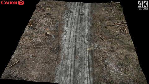 forrest sandy road ground debris photogrammetry