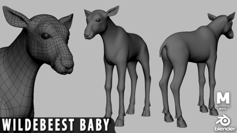 Baby Wildebeest - Topology + UV Map