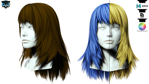 Layered Female Hair