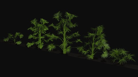 Tropical plants v1