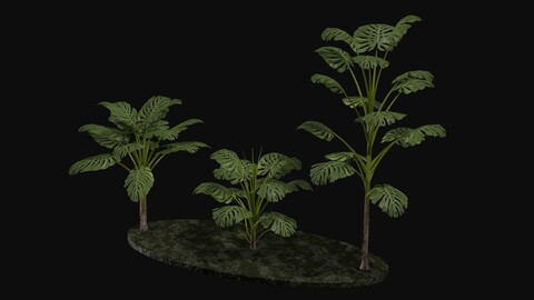 Tropical plants v2