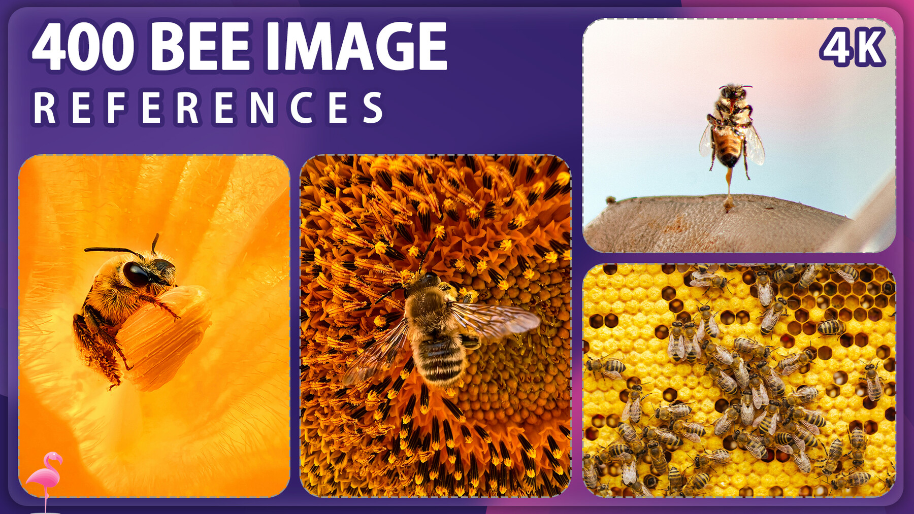 ArtStation - 400 Bee Image Reference Pack – Vol 1 | Resources