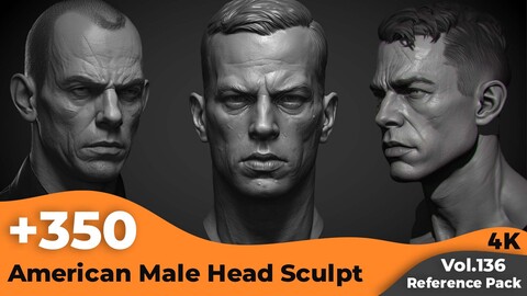 +350 American Male Head Sculpt References(4k)