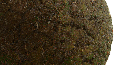 Moss Seamless Texture Patterns 2k (2048*2048) | EXR 5 | JPG 5 File Formats. (1K preview image)