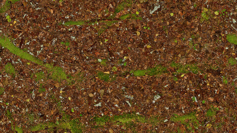 Moss Seamless Texture 2k (2048*2048) | EXR 5 | JPG 5 File Formats All Texture Apply After Object Look Like A 3D. (1K preview image)