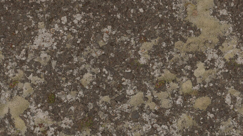 Moss Seamless Texture 2k (2048*2048) | EXR 5 | JPG 5 File Formats All Texture Apply After Object Look Like A 3D. (1K preview image)