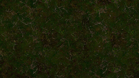 Moss Seamless Texture 2k (2048*2048) | EXR 5 | JPG 5 File Formats All Texture Apply After Object Look Like A 3D. (1K preview image)