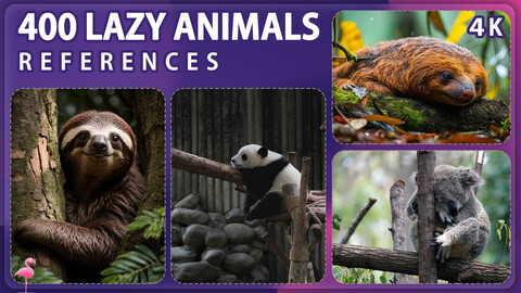 400 Lazy Animals Image Reference Pack – Vol 1