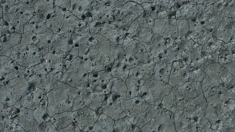 Terrain_0010_foreshore_Mud_ground (Photogrammetry,3Dscan,photoscan)