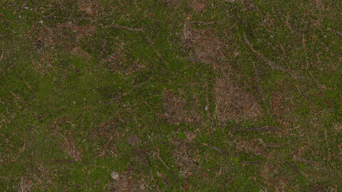 Moss Seamless Texture 2k (2048*2048) | EXR 5 | JPG 5 File Formats All Texture Apply After Object Look Like A 3D. (1K preview image)