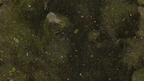 Moss Seamless Texture 2k (2048*2048) | EXR 5 | JPG 5 File Formats All Texture Apply After Object Look Like A 3D. (1K preview image)