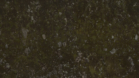 Moss Seamless Texture 2k (2048*2048) | EXR 5 | JPG 5 File Formats All Texture Apply After Object Look Like A 3D. (1K preview image)