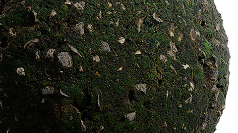 Moss Seamless Texture Patterns 2k (2048*2048) | EXR 5 | JPG 5 File Formats. (1K preview image)