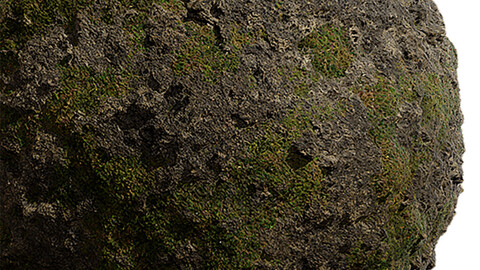 Moss Seamless Texture Patterns 2k (2048*2048) | EXR 5 | JPG 5 File Formats. (1K preview image)