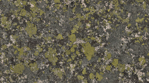 Moss Seamless Texture 2k (2048*2048) | EXR 5 | JPG 5 File Formats All Texture Apply After Object Look Like A 3D. (1K preview image)