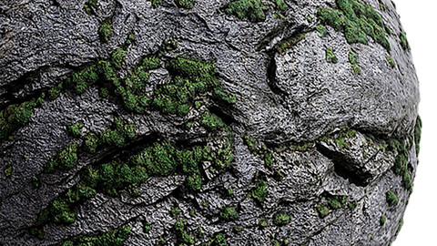 Moss Seamless Texture Patterns 2k (2048*2048) | EXR 5 | JPG 5 File Formats. (1K preview image)