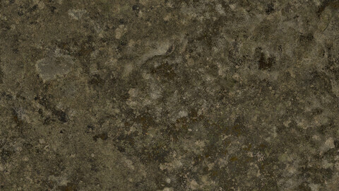 Moss Seamless Texture 2k (2048*2048) | EXR 5 | JPG 5 File Formats All Texture Apply After Object Look Like A 3D. (1K preview image)