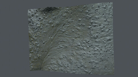 Terrain_0017_foreshore_Mud_ground (Photogrammetry,3Dscan,photoscan)