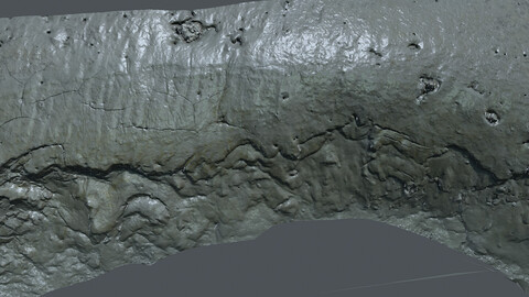 Terrain_0016_foreshore_Mud_ground (Photogrammetry,3Dscan,photoscan)