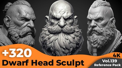 +320 Dwarf Head Sculpt References(4k)