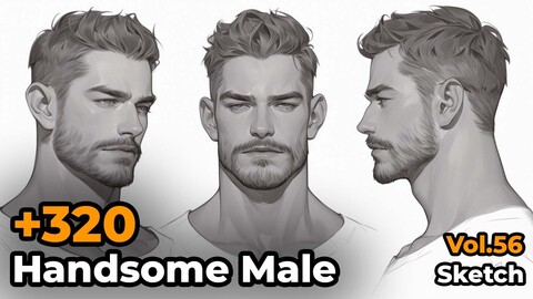 +320 Handsome Male Sketch Reference(4k)