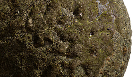 Moss Seamless Texture Patterns 2k (2048*2048) | EXR 5 | JPG 5 File Formats. (1K preview image)