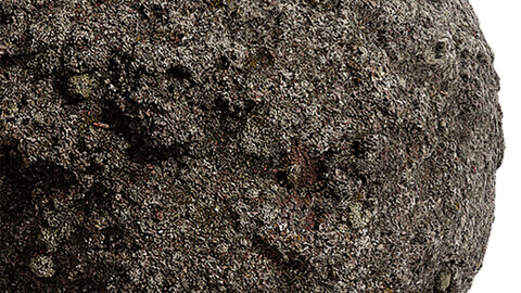 Moss Seamless Texture Patterns 2k (2048*2048) | EXR 5 | JPG 5 File Formats. (1K preview image)