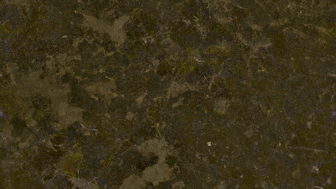 Moss Seamless Texture 2k (2048*2048) | EXR 5 | JPG 5 File Formats All Texture Apply After Object Look Like A 3D. (1K preview image)