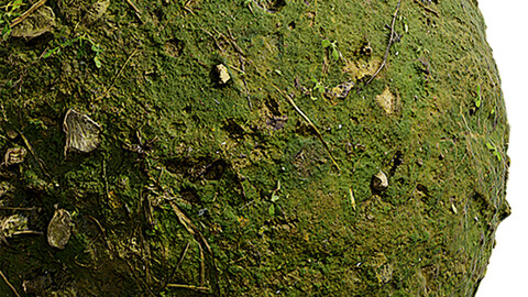 Moss Seamless Texture Patterns 2k (2048*2048) | EXR 5 | JPG 5 File Formats. (1K preview image)