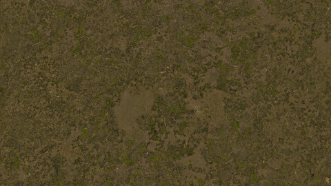 Moss Seamless Texture 2k (2048*2048) | EXR 5 | JPG 5 File Formats All Texture Apply After Object Look Like A 3D. (1K preview image)